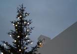 P1011696 (768x1024).jpg (47293 bytes)